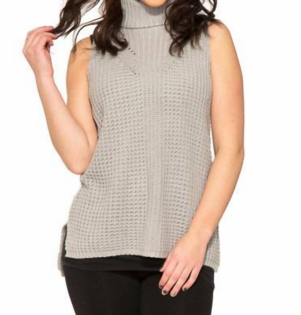 NEW ORCHID BLOOM dorinda turtleneck sweater top in grey